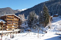 Thabor - chalet in de sneeuw